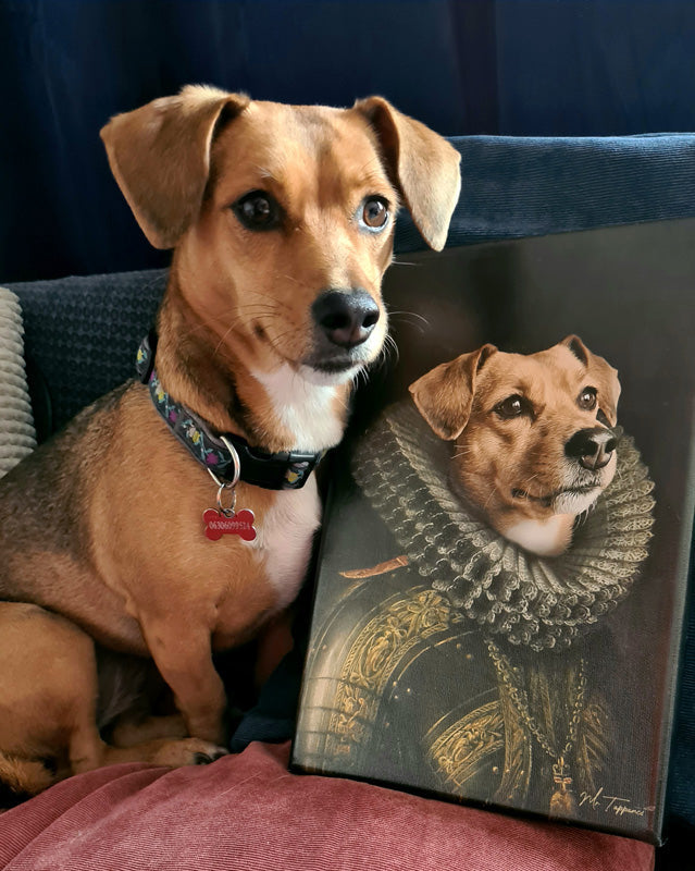 MrTappancs Lord portré