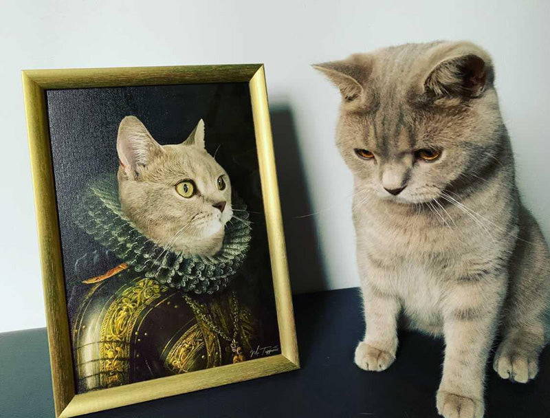 MrTappancs Lord portré
