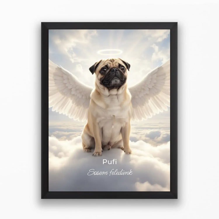 Angyali portrék kisállatokról🪽