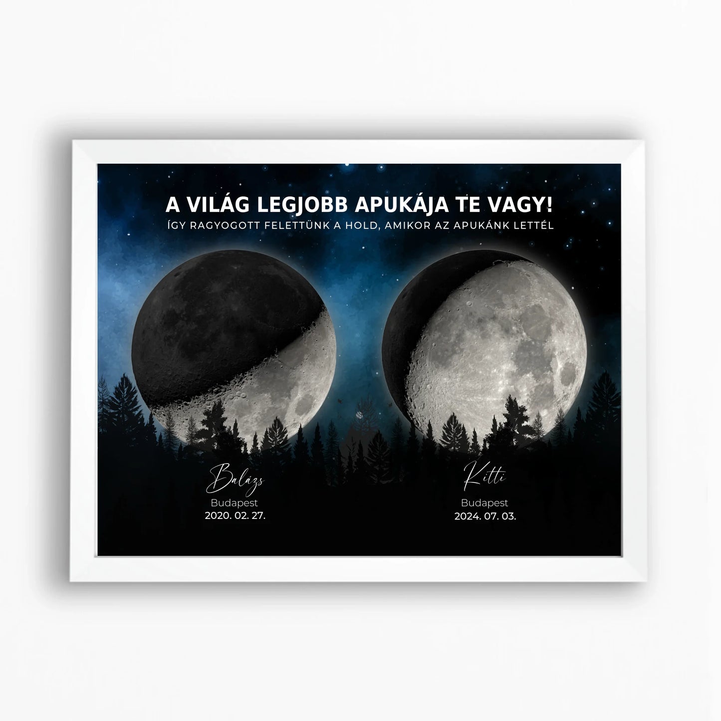 Holdfázis családi falikép - éjszakai erdő