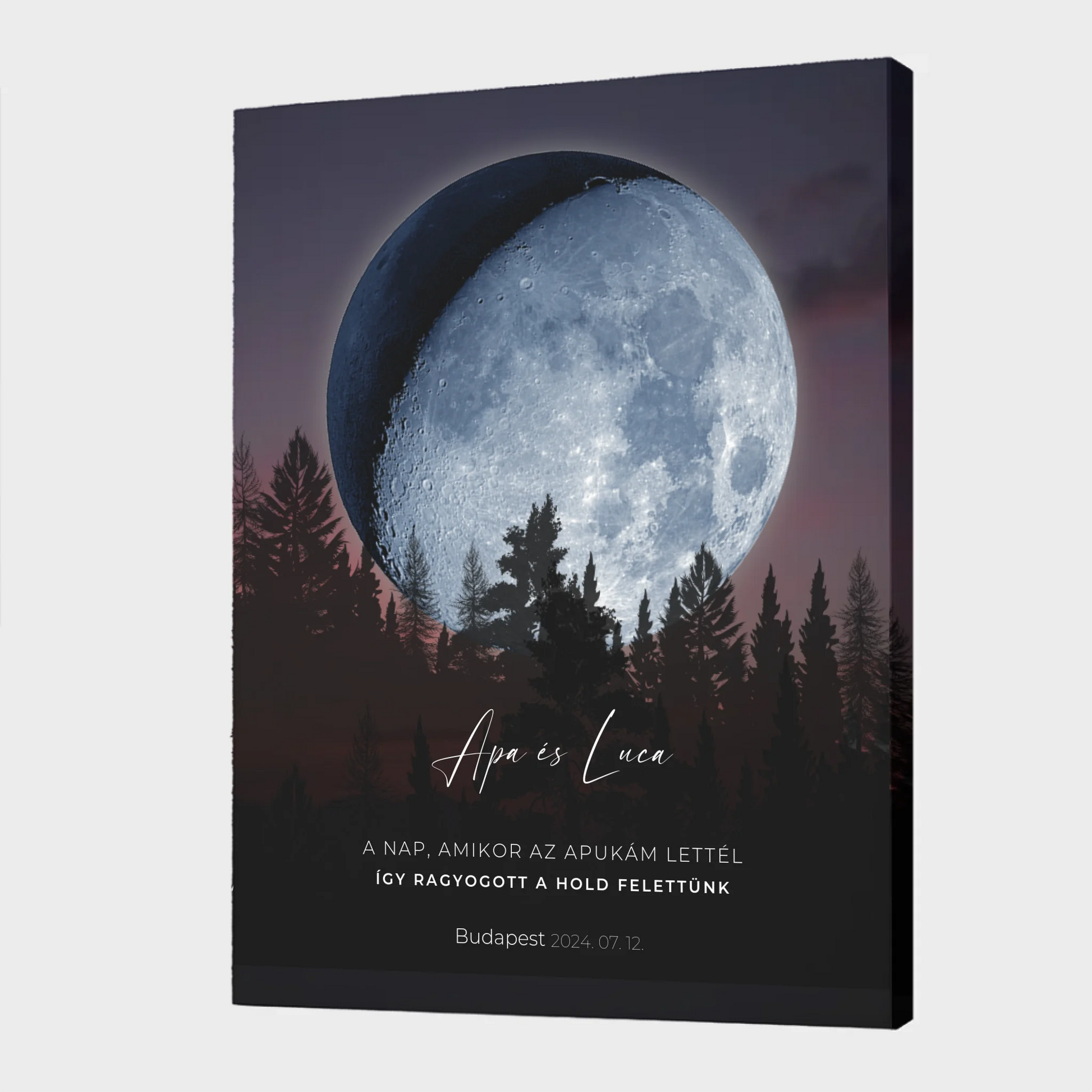 Canvas - 16x24 - No frame 2