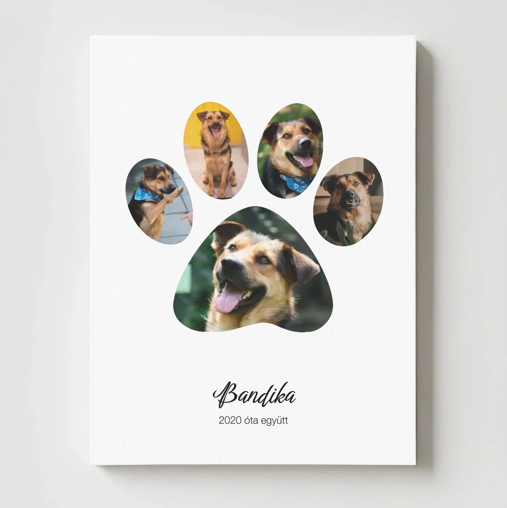 2025_vaszonmockup_merge