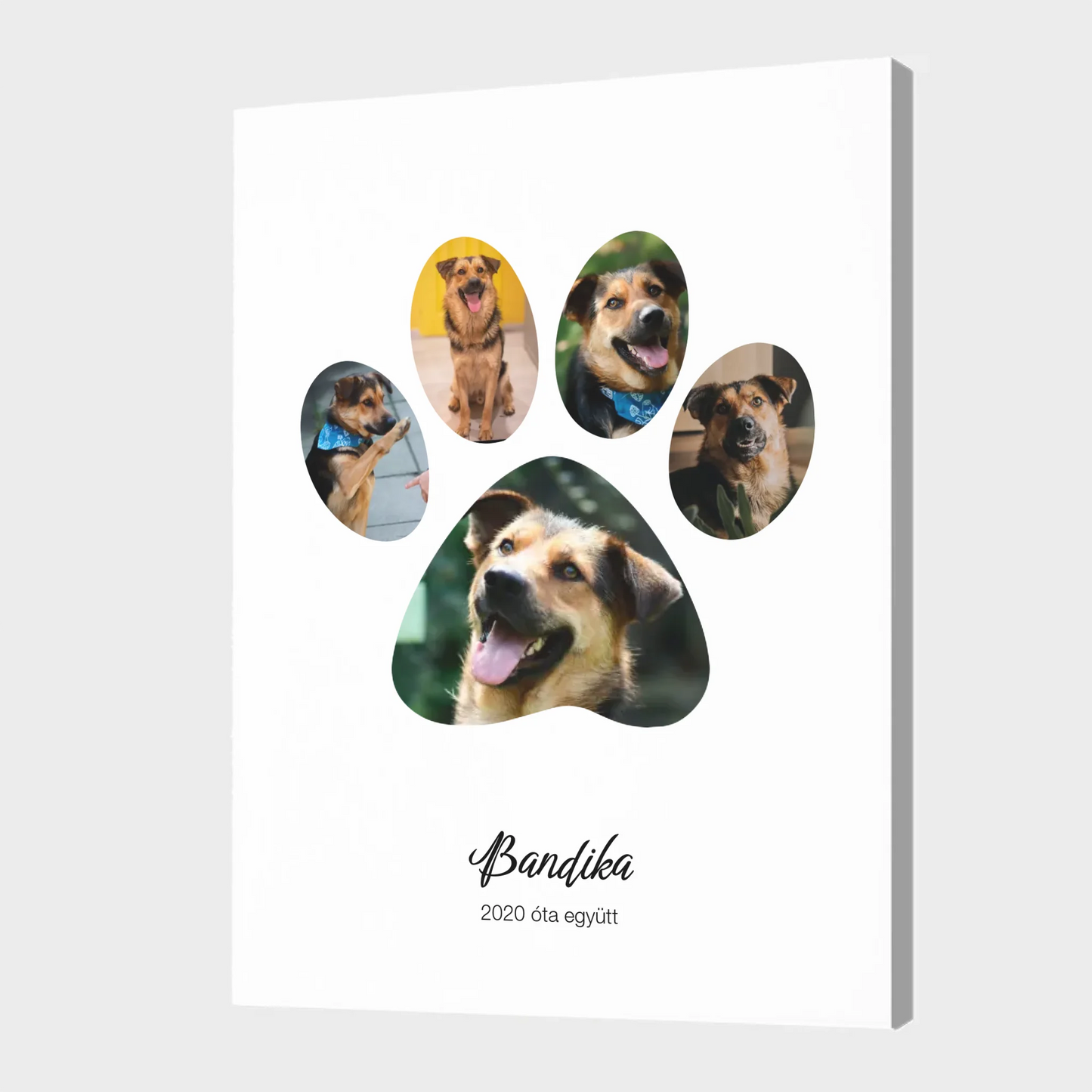 Canvas - 16x24 - No frame 2