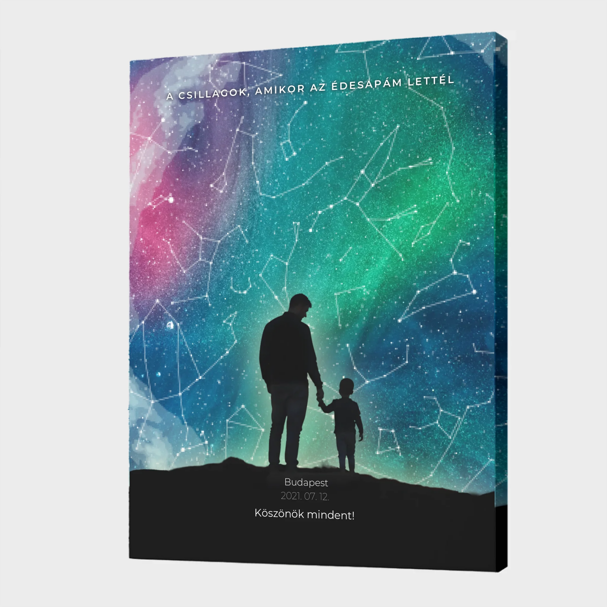 Canvas - 16x24 - No frame 2